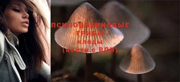 ГАЛЛЮЦИНОГЕННЫЕ ГРИБЫ Беломорск