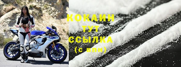 гидропоника Белокуриха