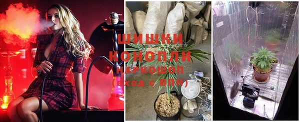 гидропоника Белокуриха