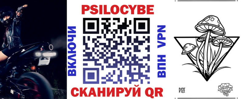 MEGA ТОР  Богородицк  Галлюциногенные грибы прущие грибы 